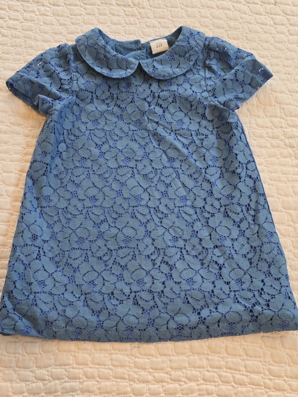 Floral Lace Overlay Dress